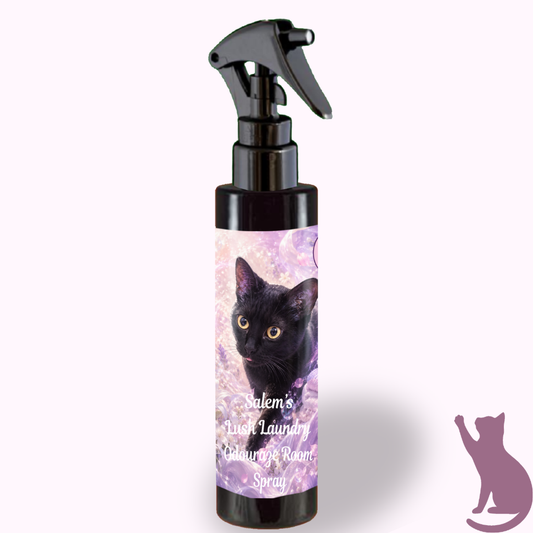Salem's Lush Laundry